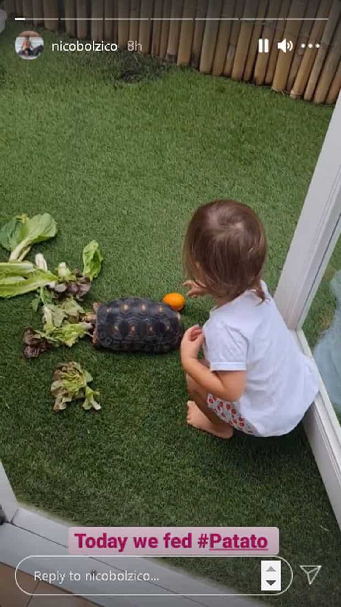 Nico Bolzico, ibinahagi ang cute na video ni Tili na pinapakain si Patato Nico Bolzico, ibinahagi ang cute na video ni Tili na pinapakain si Patato