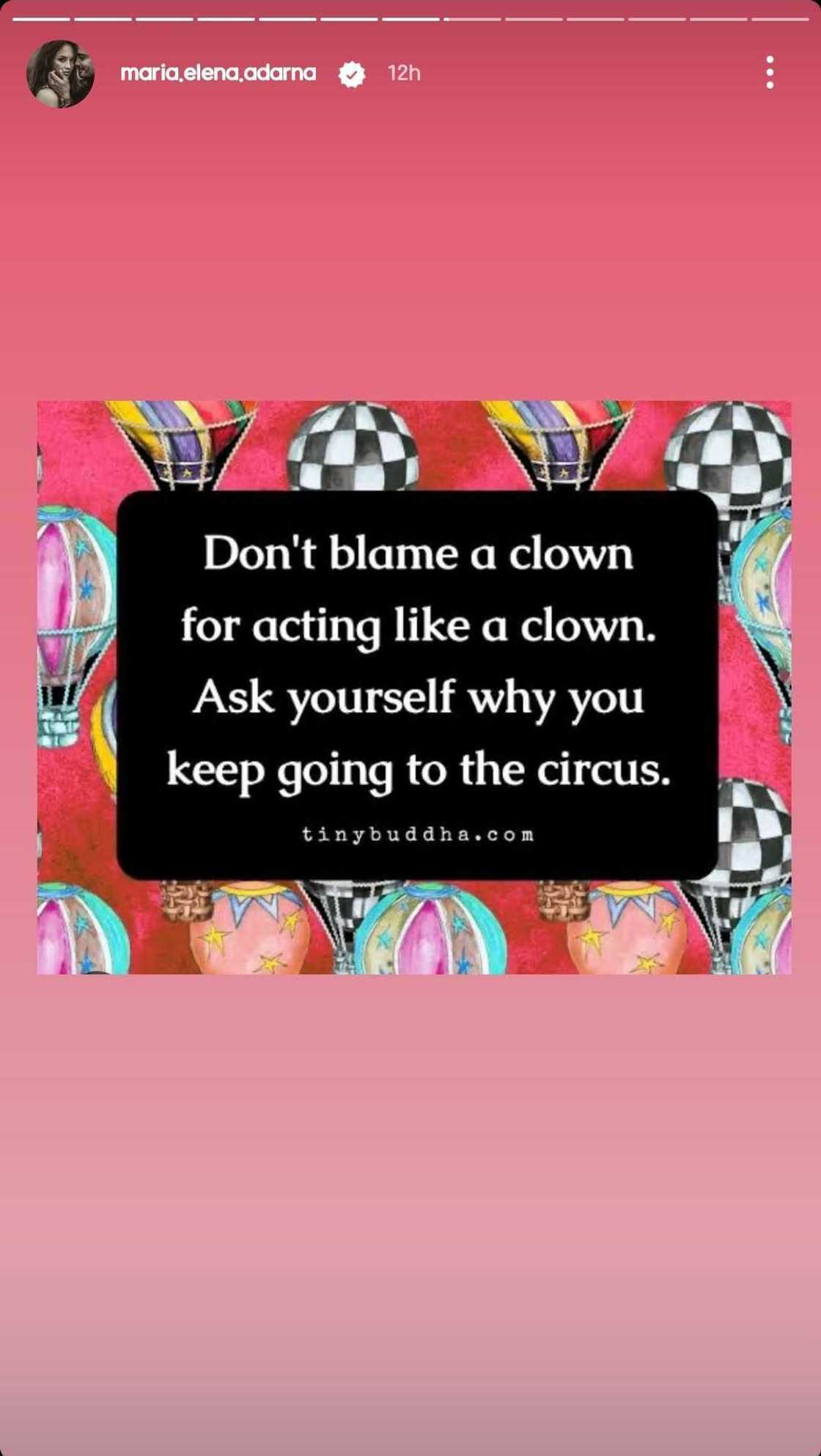 Ellen Adarna shares a quote about 'acting like a clown'