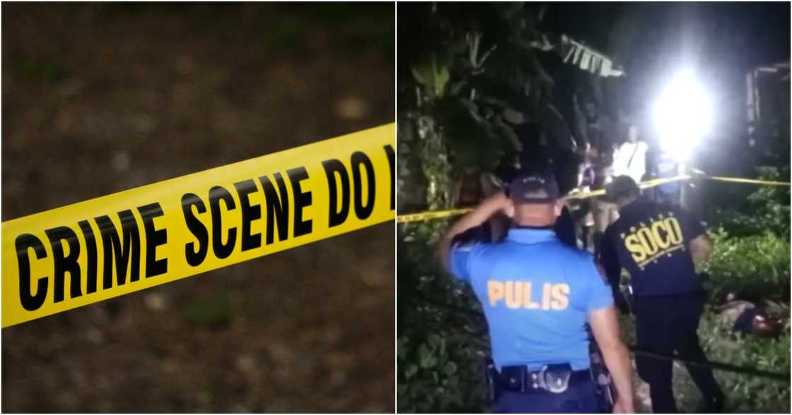Kat Wilcox on Pexels
Balitanghali/GMA Network/GMA Integrated News on YouTube