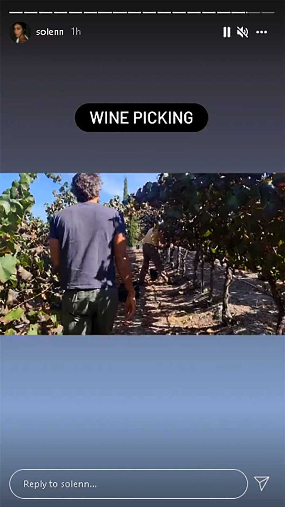 Solenn Heussaff, pinost video ng pag-harvest nina Nico Bolzico ng mga ubas sa vineyard para gawing wine Solenn Heussaff, pinost video ng pag-harvest nina Nico Bolzico ng mga ubas sa vineyard para gawing wine