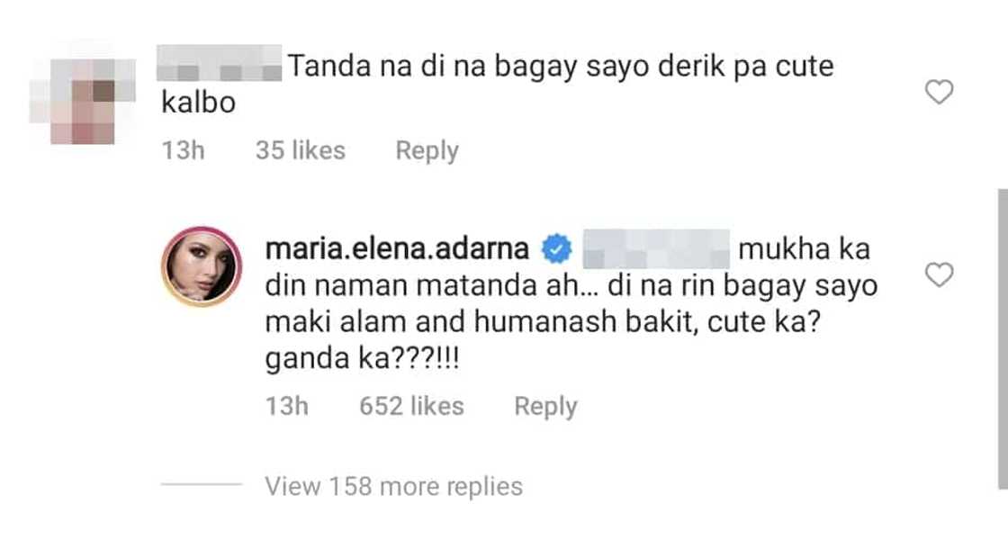 Ellen Adarna shuts down troll who called Derek Ramsay 'old' and 'bald'