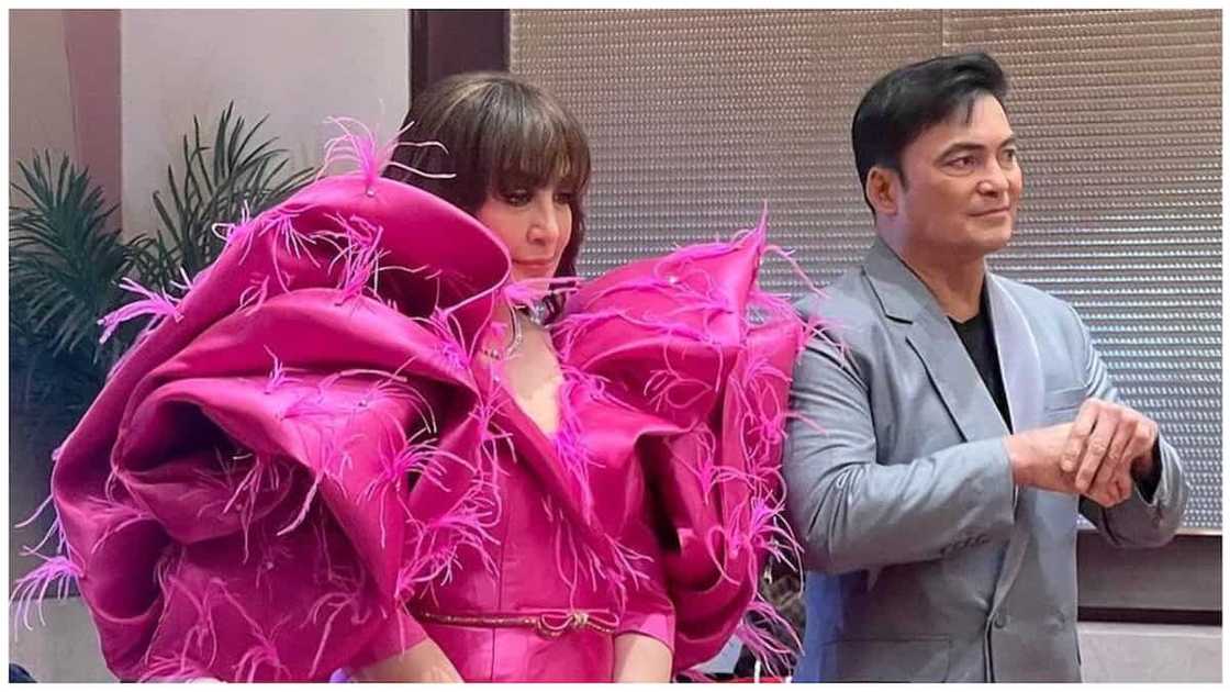 Sharon Cuneta sa umano'y naudlot na follow up concert nila ni Gabby: "Not my fault" Sharon Cuneta sa umano'y naudlot na follow up concert nila ni Gabby: "Not my fault"