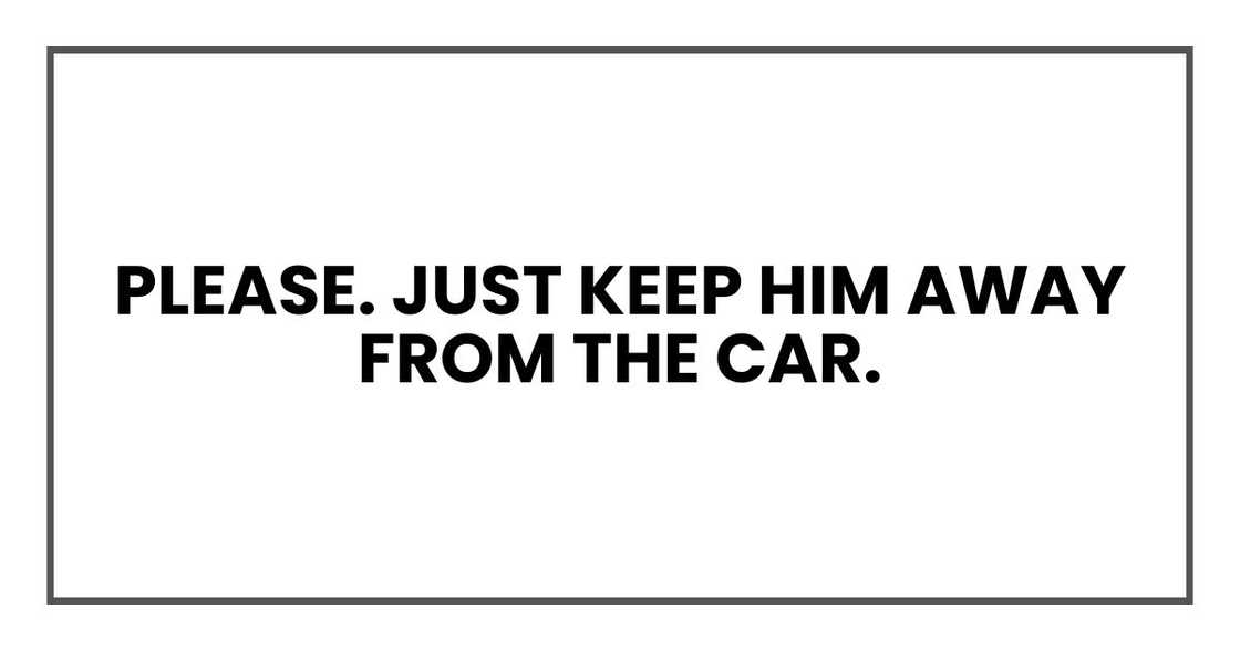 Please. Just keep him away from the car. Please. Just keep him away from the car.