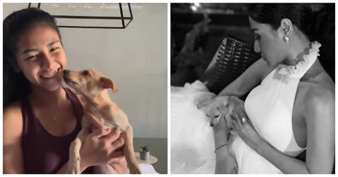 Sanya Lopez mourns the passing of her pet dog Mackee: "Run free my baby" Sanya Lopez mourns the passing of her pet dog Mackee: "Run free my baby"