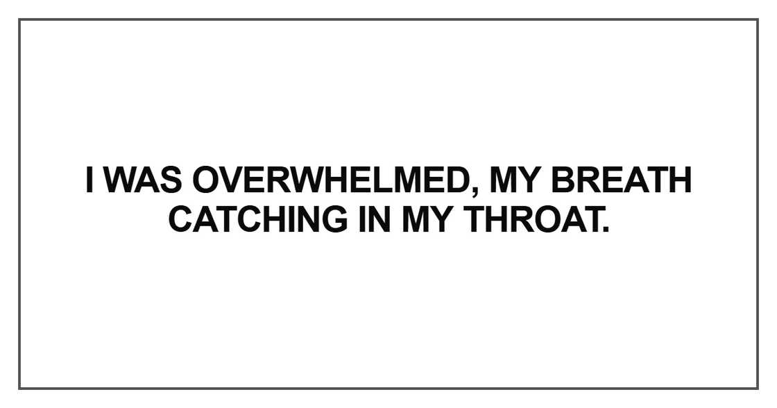 I was overwhelmed, my breath catching in my throat I was overwhelmed, my breath catching in my throat