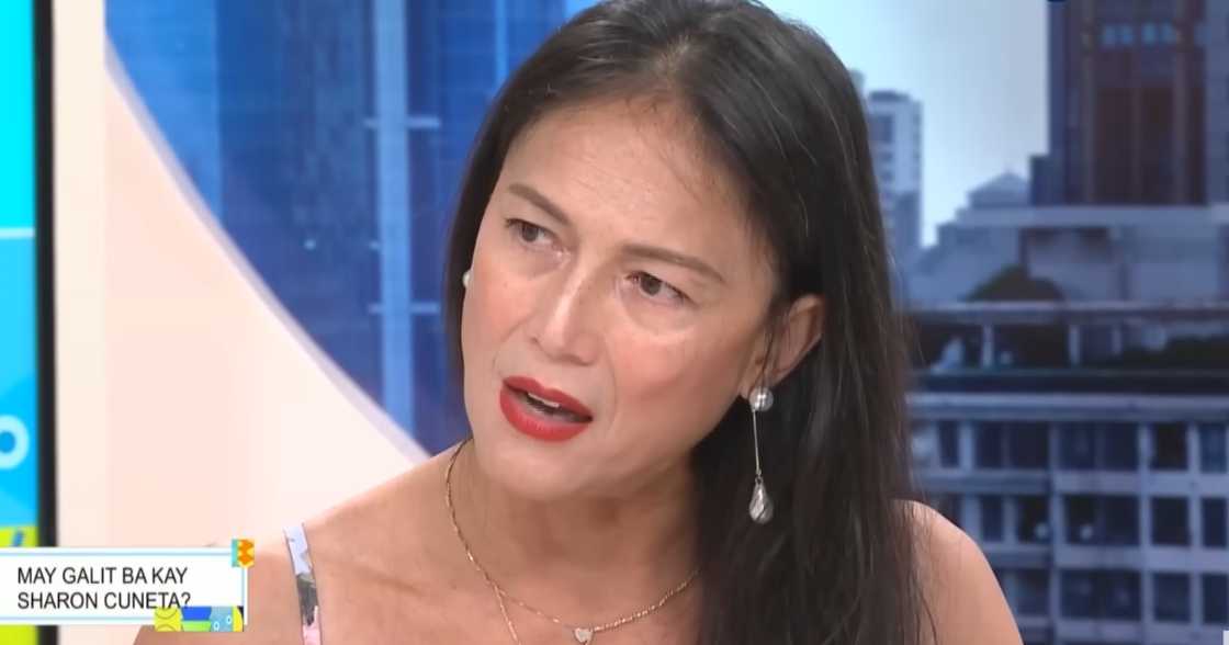 BB Gandanghari, sinagot kung may galit ba kay Sharon Cuneta BB Gandanghari, sinagot kung may galit ba kay Sharon Cuneta