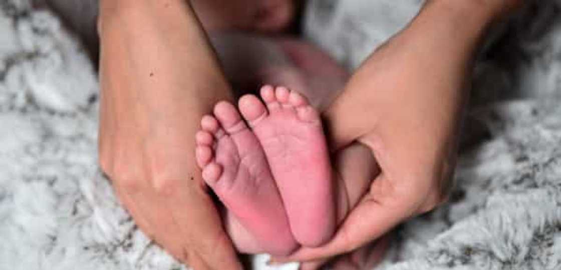 Sanggol, naputol ibabang bahagi ng katawan habang pinapanganak sa sobrang hatak ng nurse Sanggol, naputol ibabang bahagi ng katawan habang pinapanganak sa sobrang hatak ng nurse