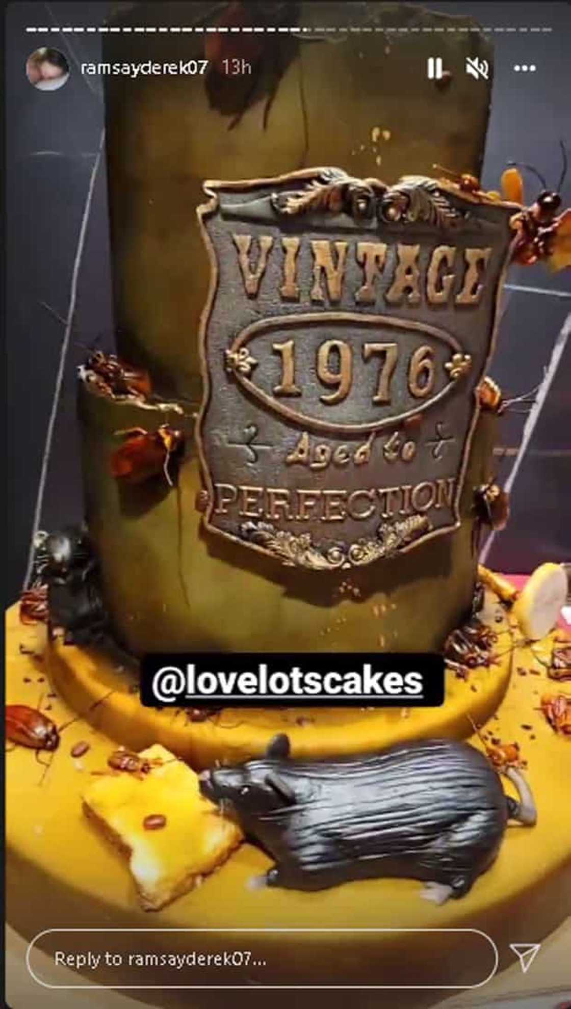 Cake ni Derek Ramsay, nakakawindang, may mga disenyong ipis at daga Cake ni Derek Ramsay, nakakawindang, may mga disenyong ipis at daga