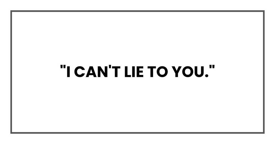 "I can't lie to you." "I can't lie to you."