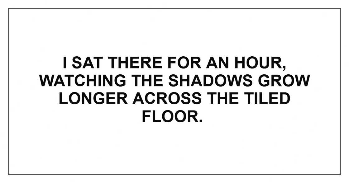 I sat there for an hour, watching the shadows grow longer across the tiled floor. I sat there for an hour, watching the shadows grow longer across the tiled floor.