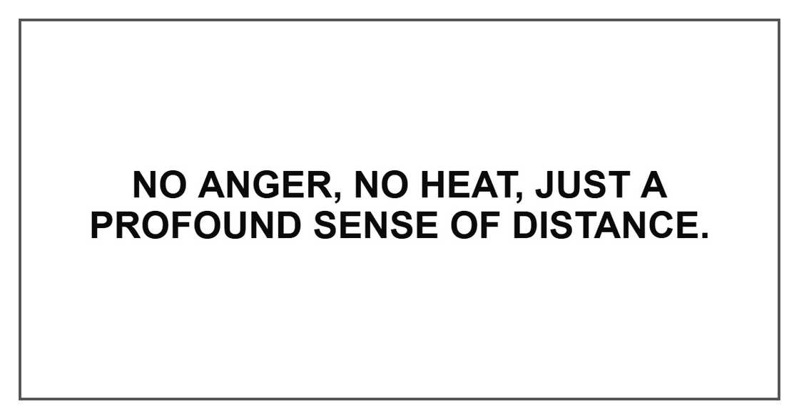 No anger, no heat, just a profound sense of distance. No anger, no heat, just a profound sense of distance.