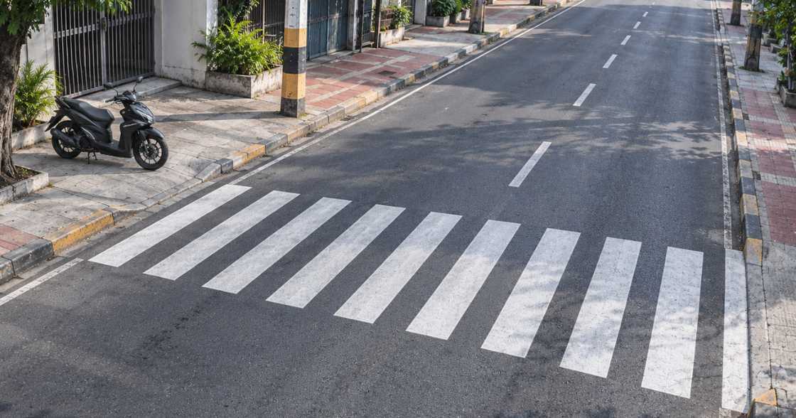 Pedestrian