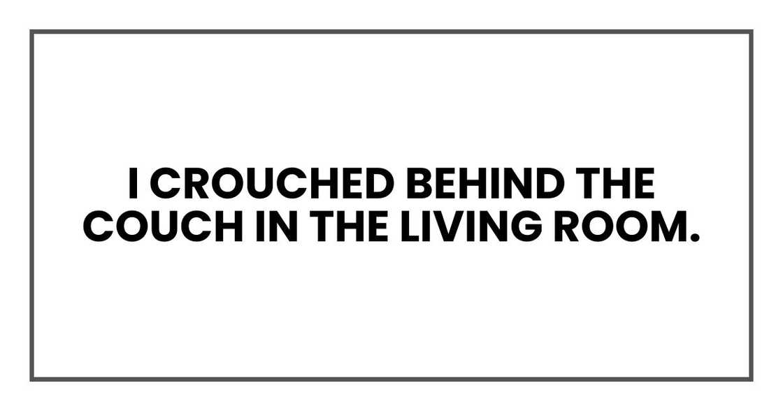 I crouched behind the couch in the living room. I crouched behind the couch in the living room.
