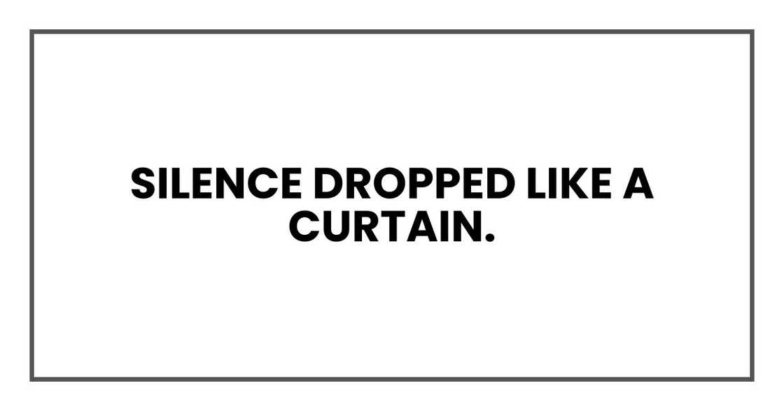 Silence dropped like a curtain. Silence dropped like a curtain.