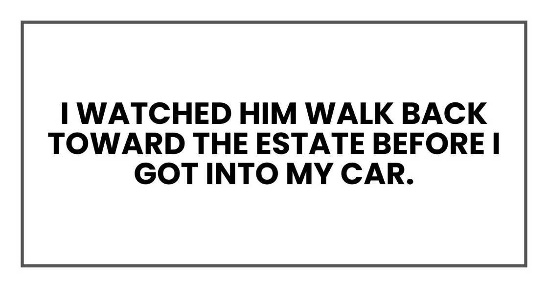 I watched him walk back toward the estate before I got into my car.