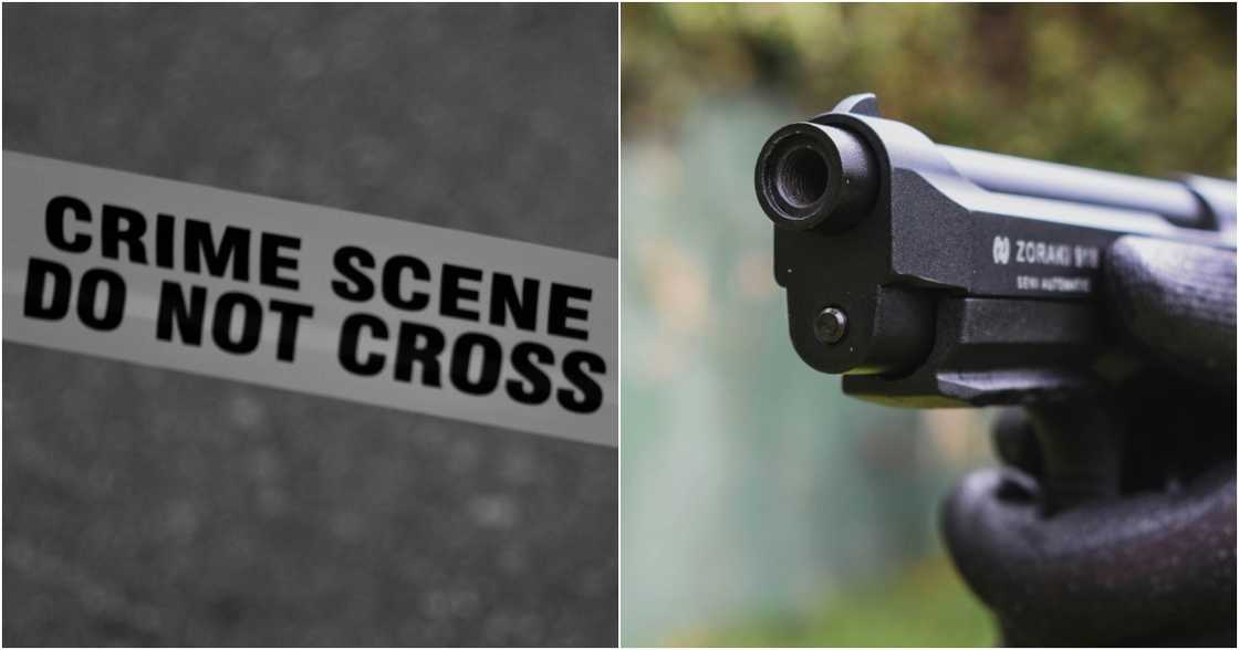 Mark D'aiuto on Pexels
Felipe Jiménez on Pexels Mark D'aiuto on Pexels
Felipe Jiménez on Pexels