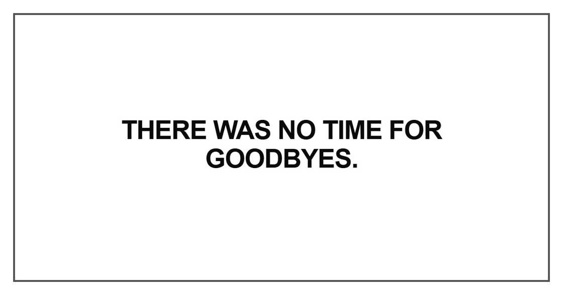 There was no time for goodbyes There was no time for goodbyes