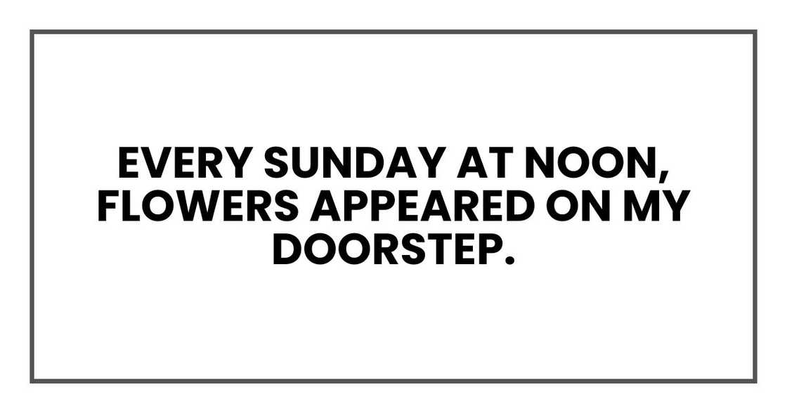 Every Sunday at noon, flowers appeared on my porch.