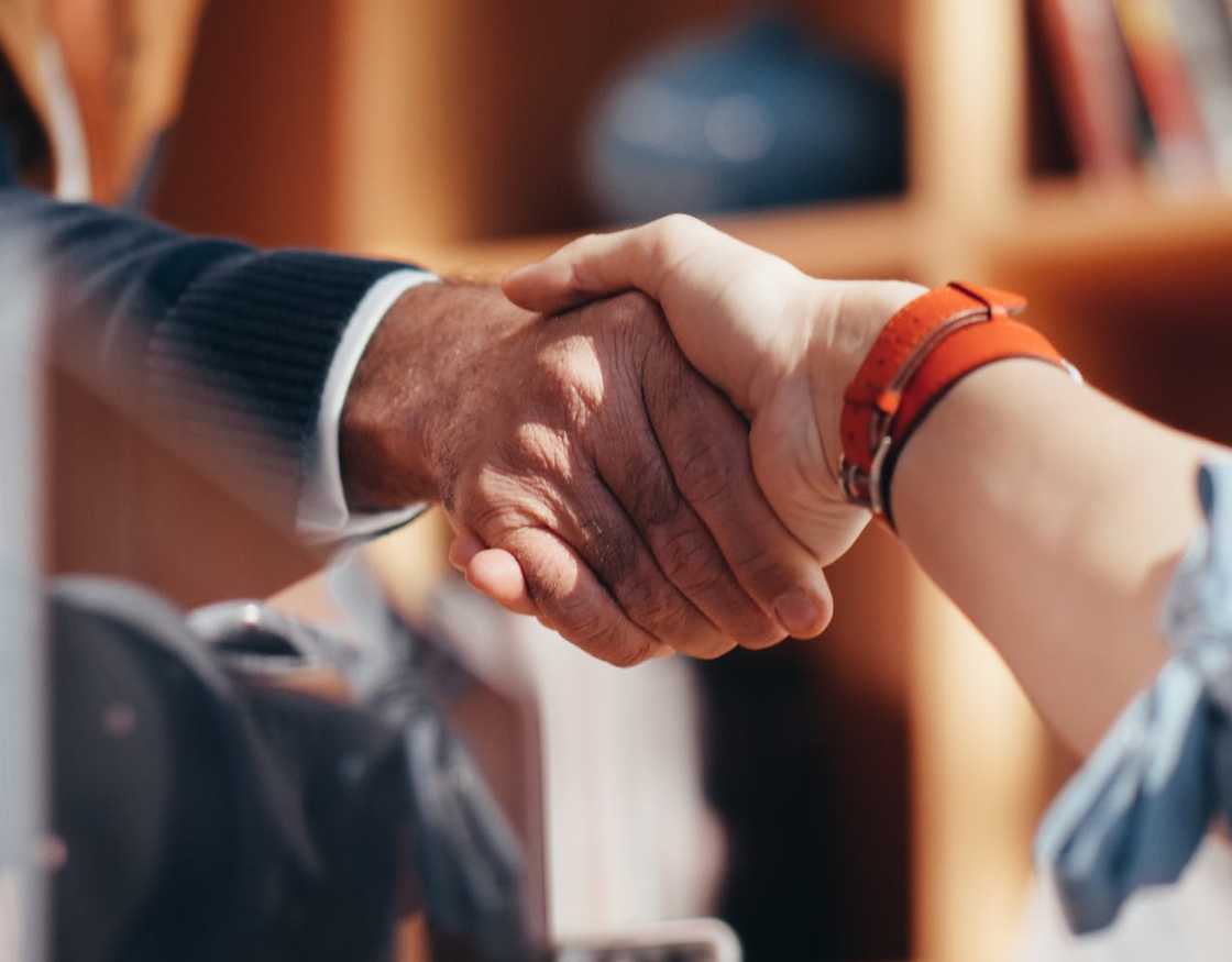 A close-up of two people shaking hands.