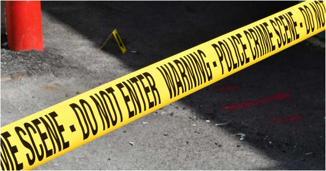 Siobhan Howerton on Pexels Siobhan Howerton on Pexels