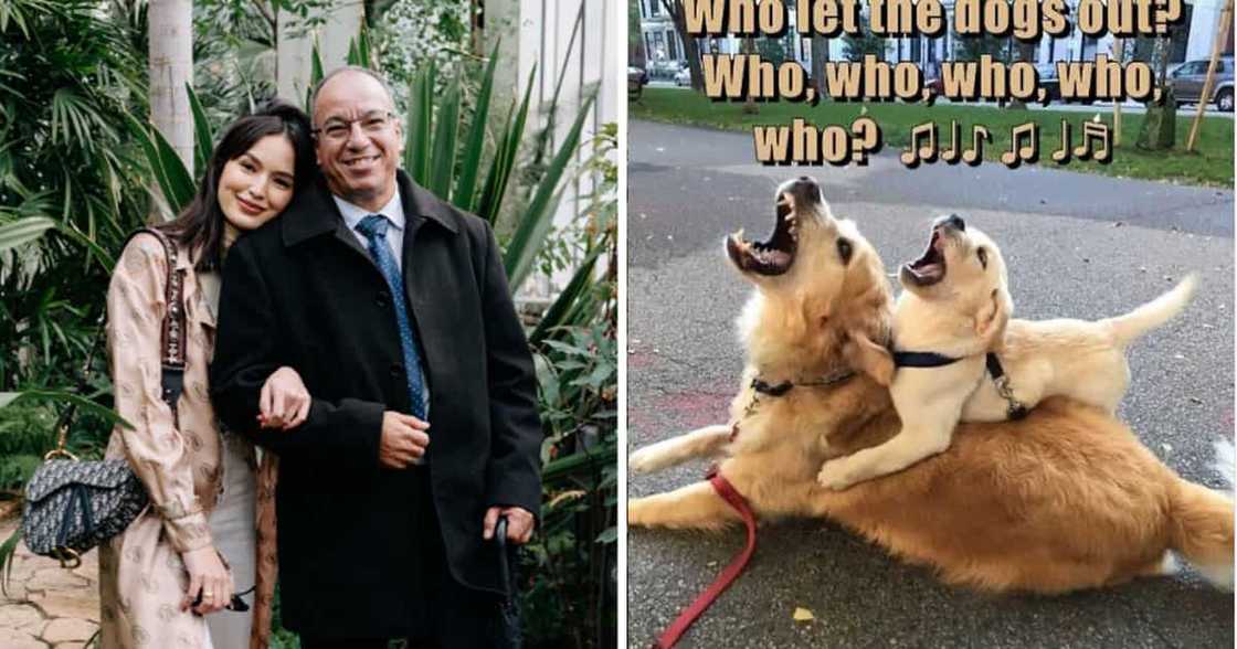 Sarah Lahbati Sarah Lahbati