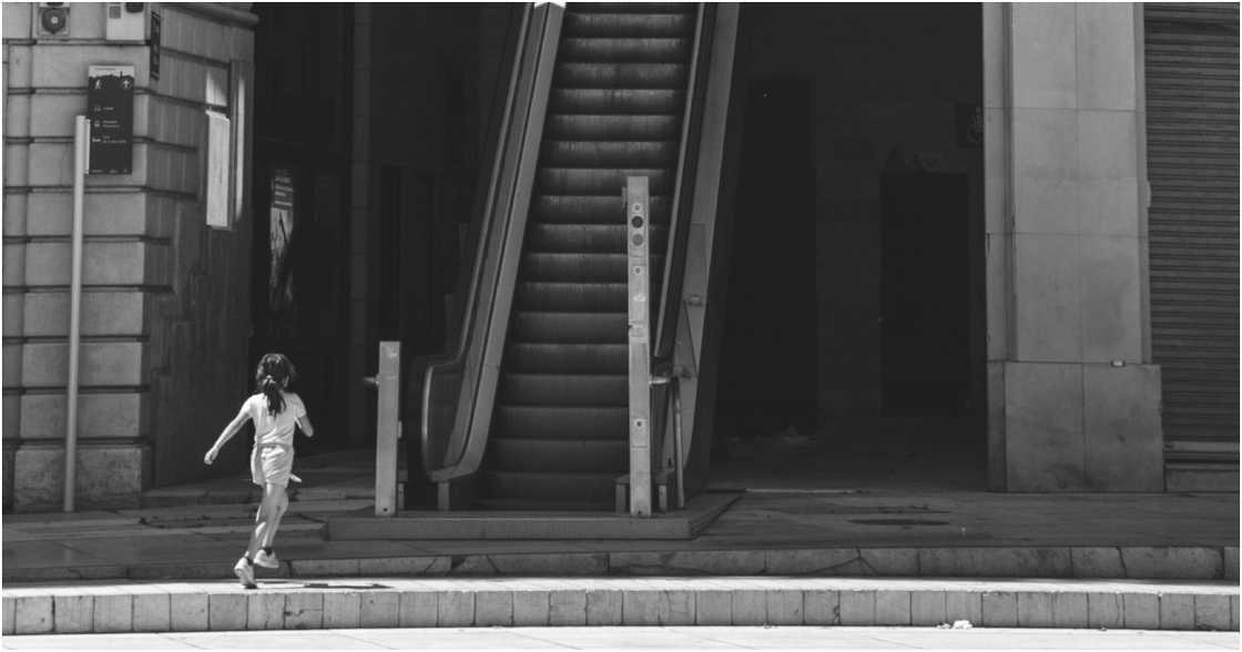 Philip Ackermann on Pexels Philip Ackermann on Pexels