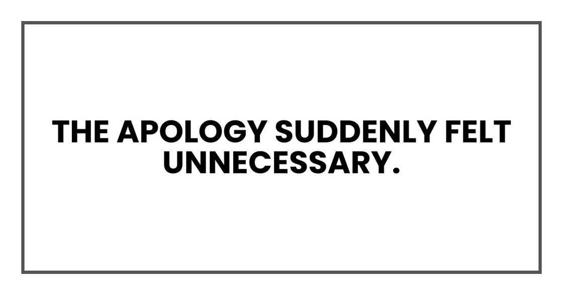 The apology suddenly felt unnecessary. The apology suddenly felt unnecessary.