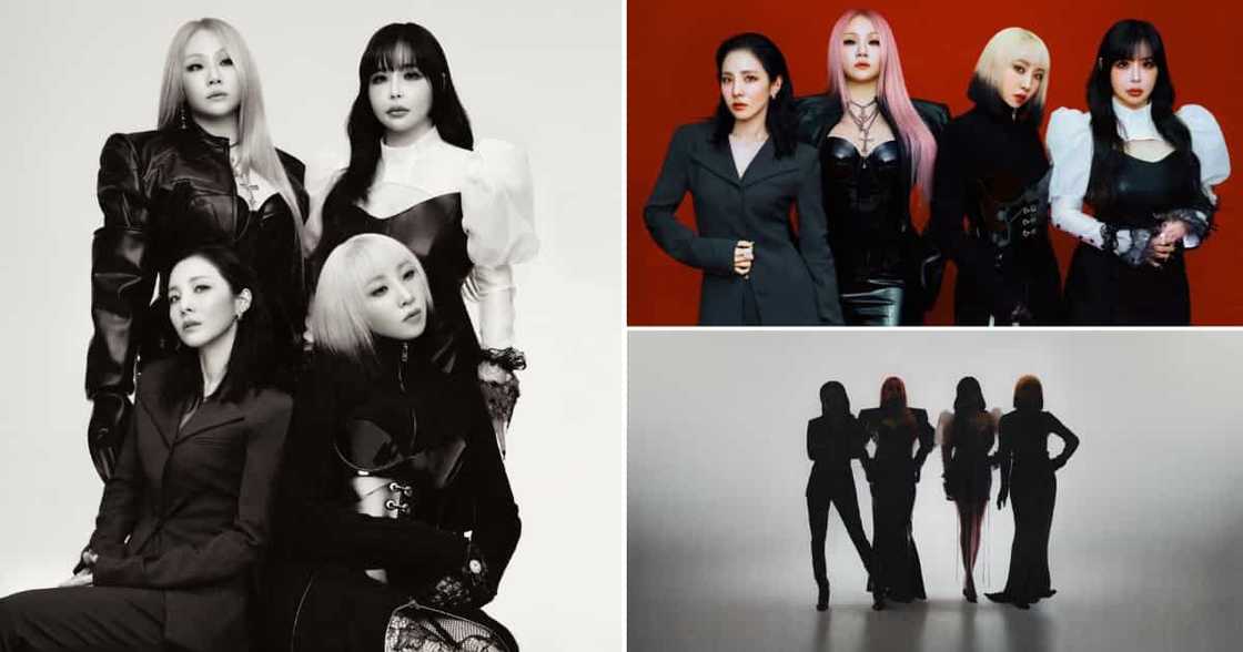 Sandara Park, former bandmates reunite for 2NE1's 15th anniversary photoshoot