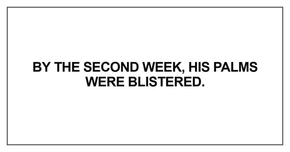 By the second week By the second week