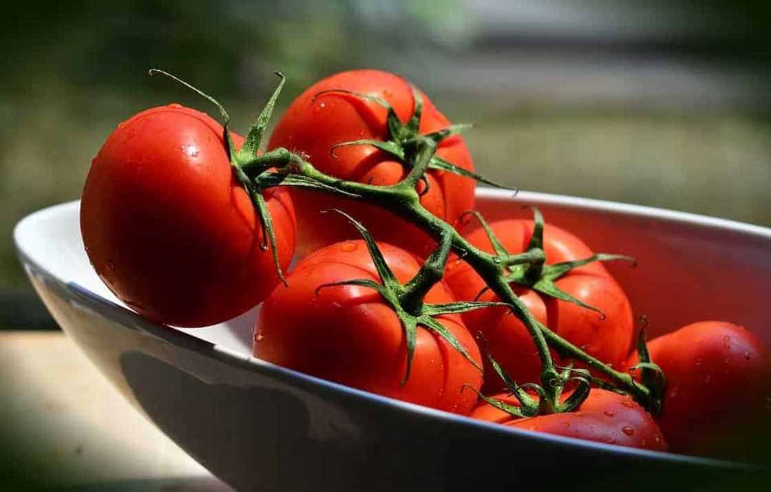 When to plant tomatoes in 2020 When to plant tomatoes in 2020