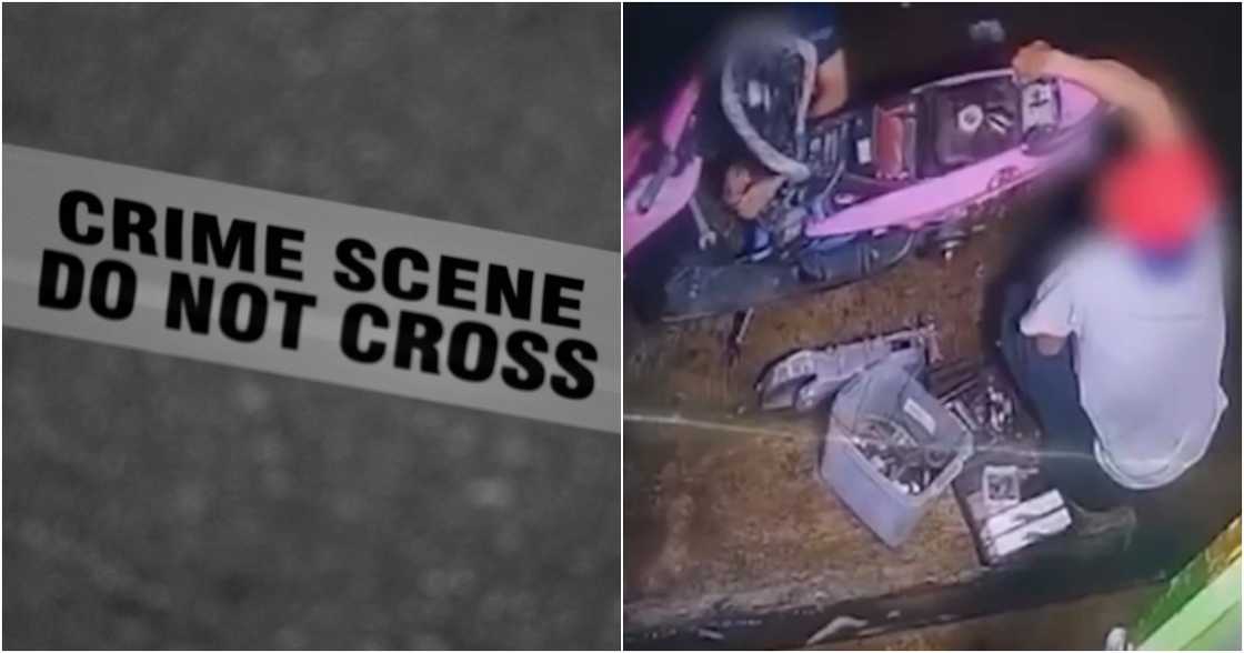 Mark D'aiuto on Pexels
Unang Balita/GMA-7/GMA Integrated News on YouTube Mark D'aiuto on Pexels
Unang Balita/GMA-7/GMA Integrated News on YouTube