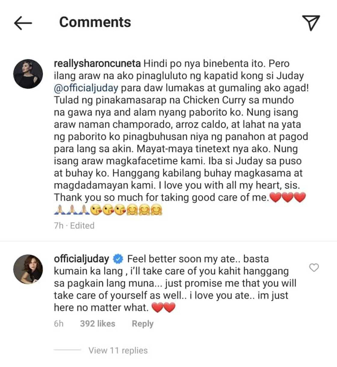 Sharon Cuneta, ibinahagi ang alagang binigay ni Juday habang siya ay may sakit