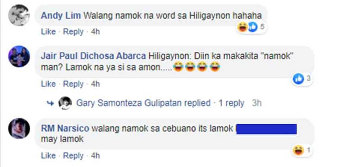Module that called mosquitoes as "namok" in Tagalog goes viral