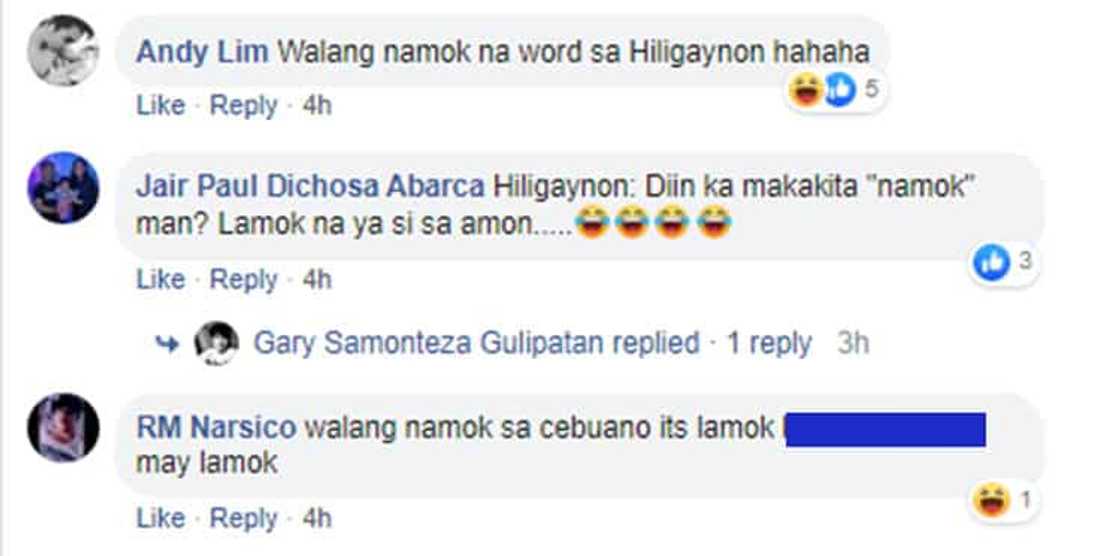 Module that called mosquitoes as "namok" in Tagalog goes viral Module that called mosquitoes as "namok" in Tagalog goes viral