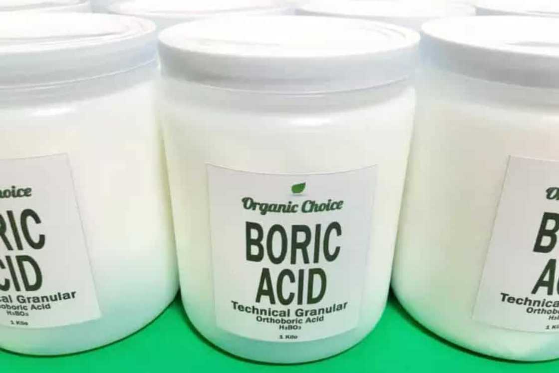 Where to buy boric acid