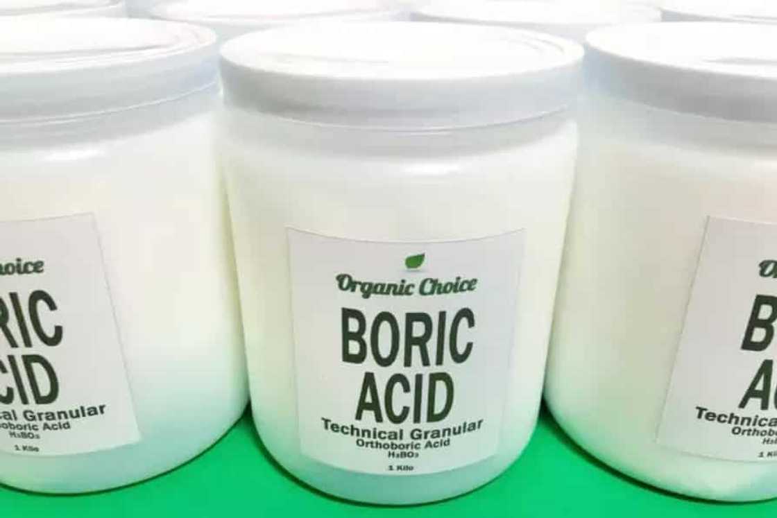 Where to buy boric acid Where to buy boric acid