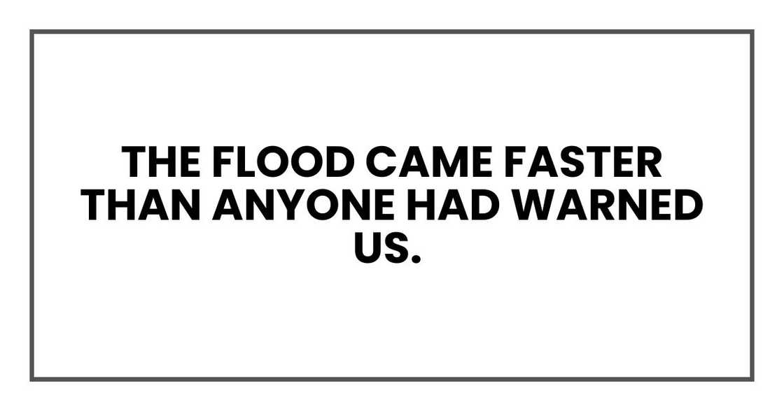 The flood came faster than anyone had warned us.
