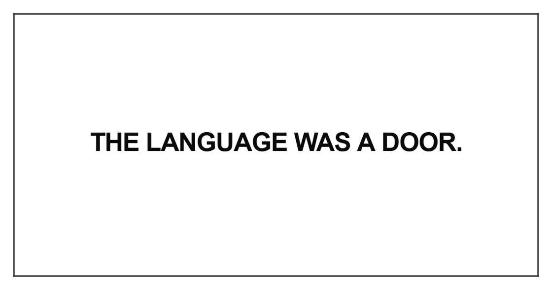 The language was a door
