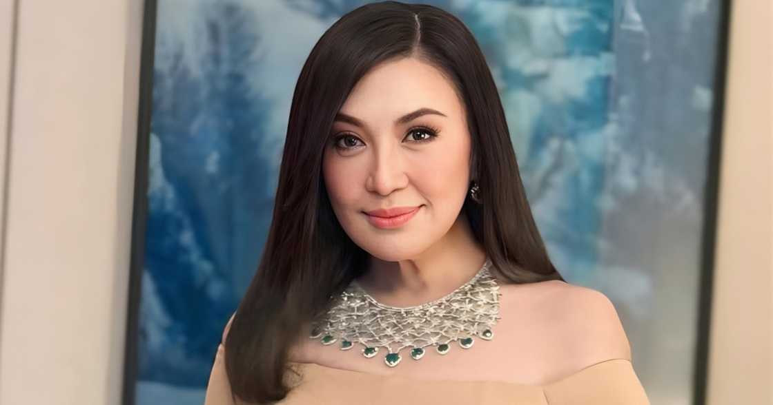 Sharon Cuneta, sinimulan ang sariling management company sa edad na 60 Sharon Cuneta, sinimulan ang sariling management company sa edad na 60