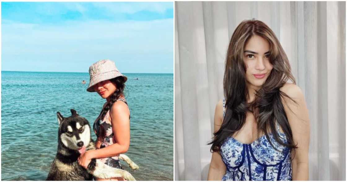 RR Enriquez, nag-react sa isyu ng Balay Dako, ang restaurant na hindi pinapasok ang Aspin na si Yoda RR Enriquez, nag-react sa isyu ng Balay Dako, ang restaurant na hindi pinapasok ang Aspin na si Yoda