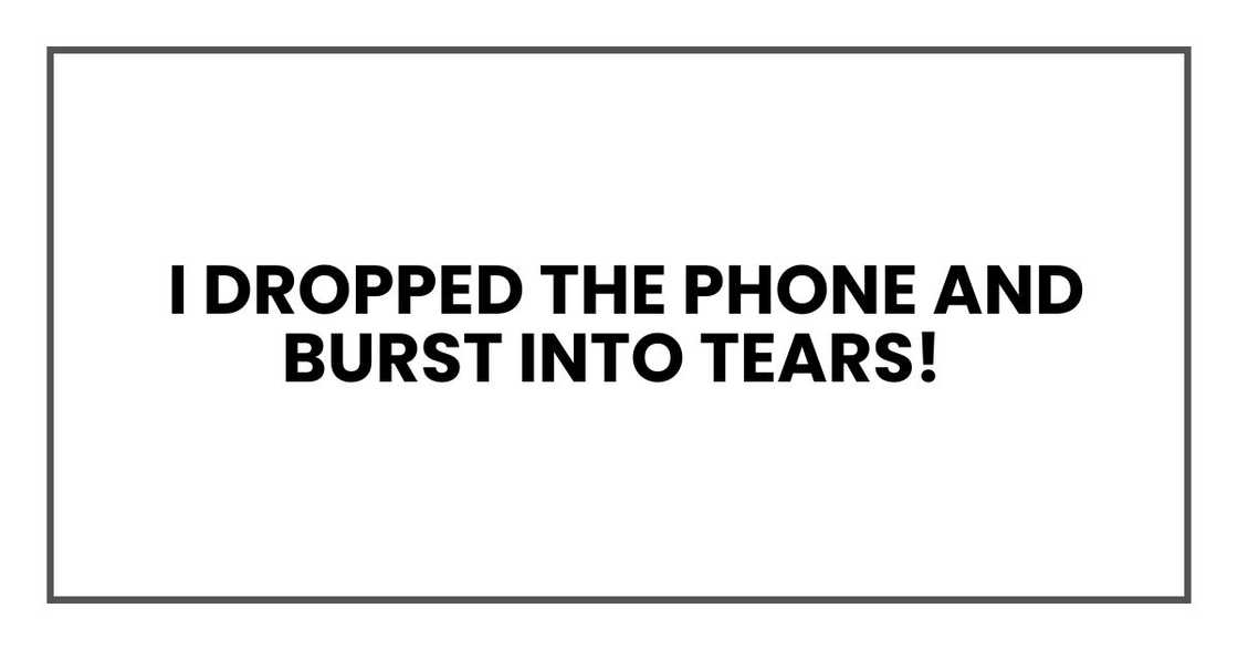 I dropped the phone and burst into tears I dropped the phone and burst into tears