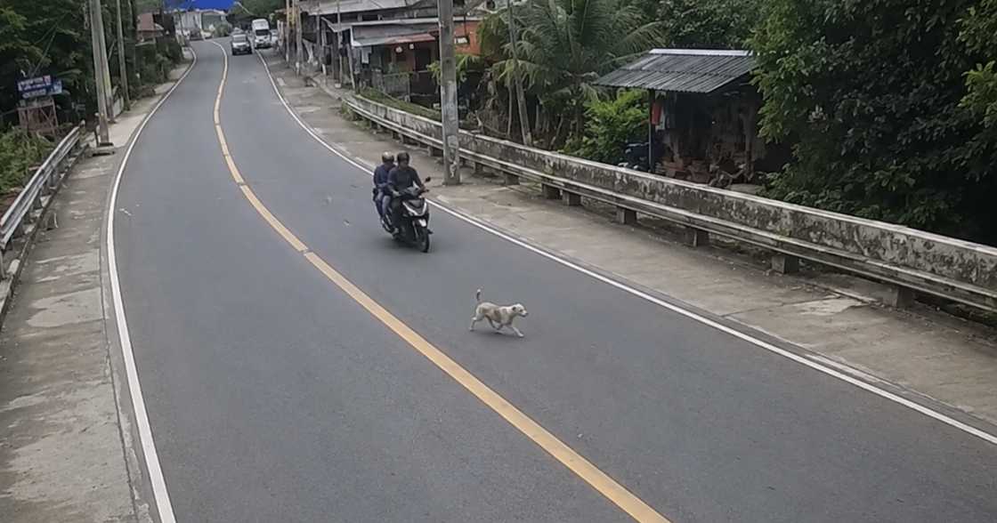 Rider at angkas
