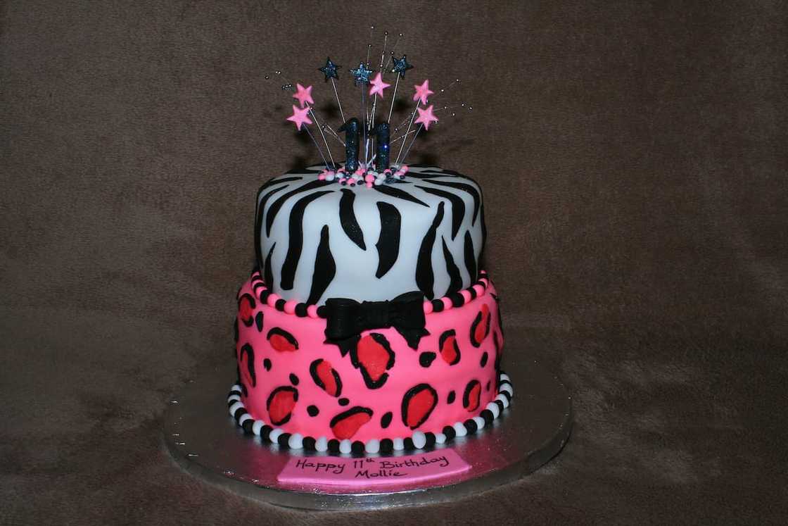 Safari cake design Safari cake design