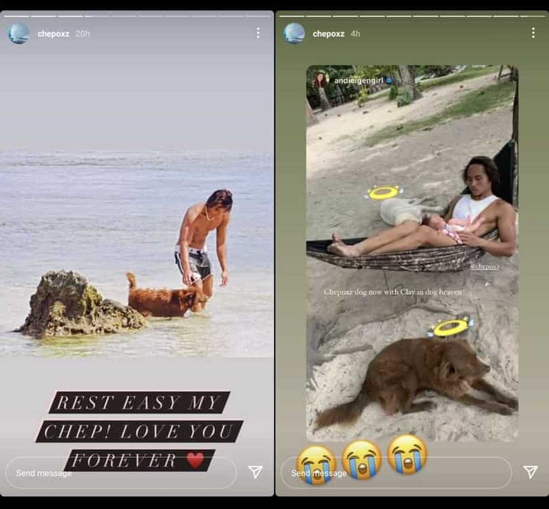 Andi Eigenmann, Philmar Alipayo mourn death of their pet dog Chep in viral posts Andi Eigenmann, Philmar Alipayo mourn death of their pet dog Chep in viral posts