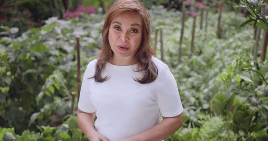 Bunsong anak ni Loren Legarda, pinuri ang kanyang ina: "Exemplary public servant"