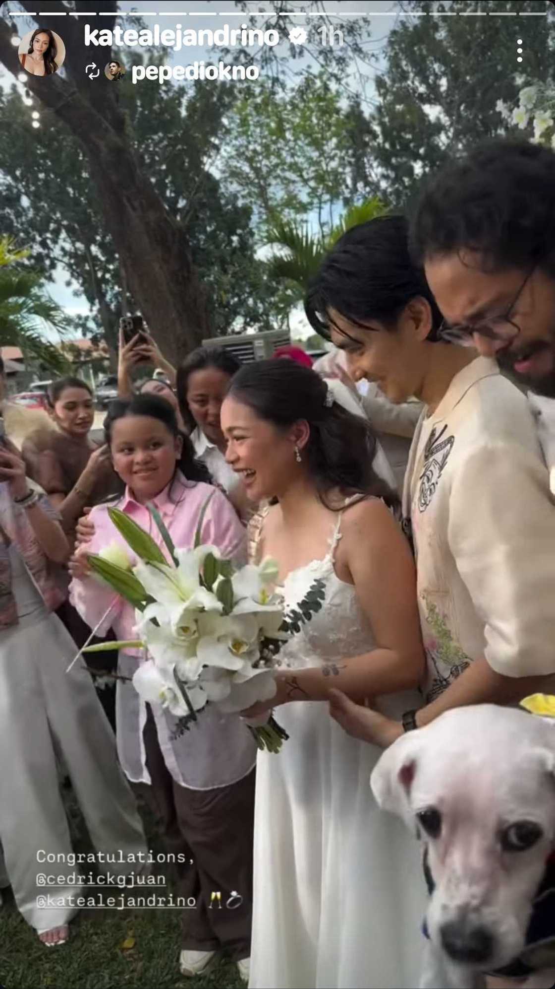 Cedrick Juan at Kate Alejandrino, ikinasal na sa isang garden wedding ceremony