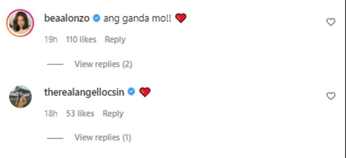 Bea Alonzo gushes over Anne Curtis' stunning photo: "ang ganda mo" Bea Alonzo gushes over Anne Curtis' stunning photo: "ang ganda mo"