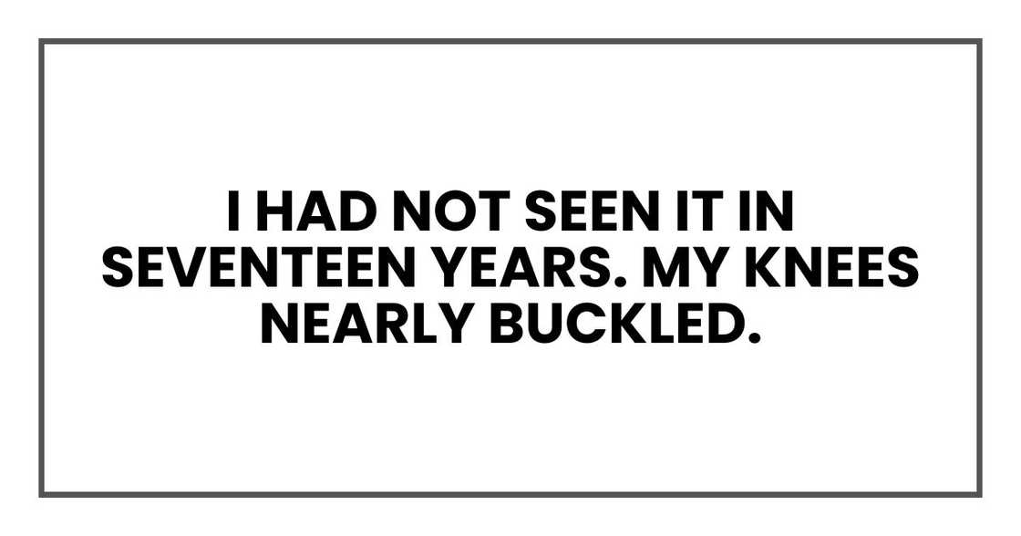 I had not seen it in seventeen years. My knees nearly buckled. I had not seen it in seventeen years. My knees nearly buckled.