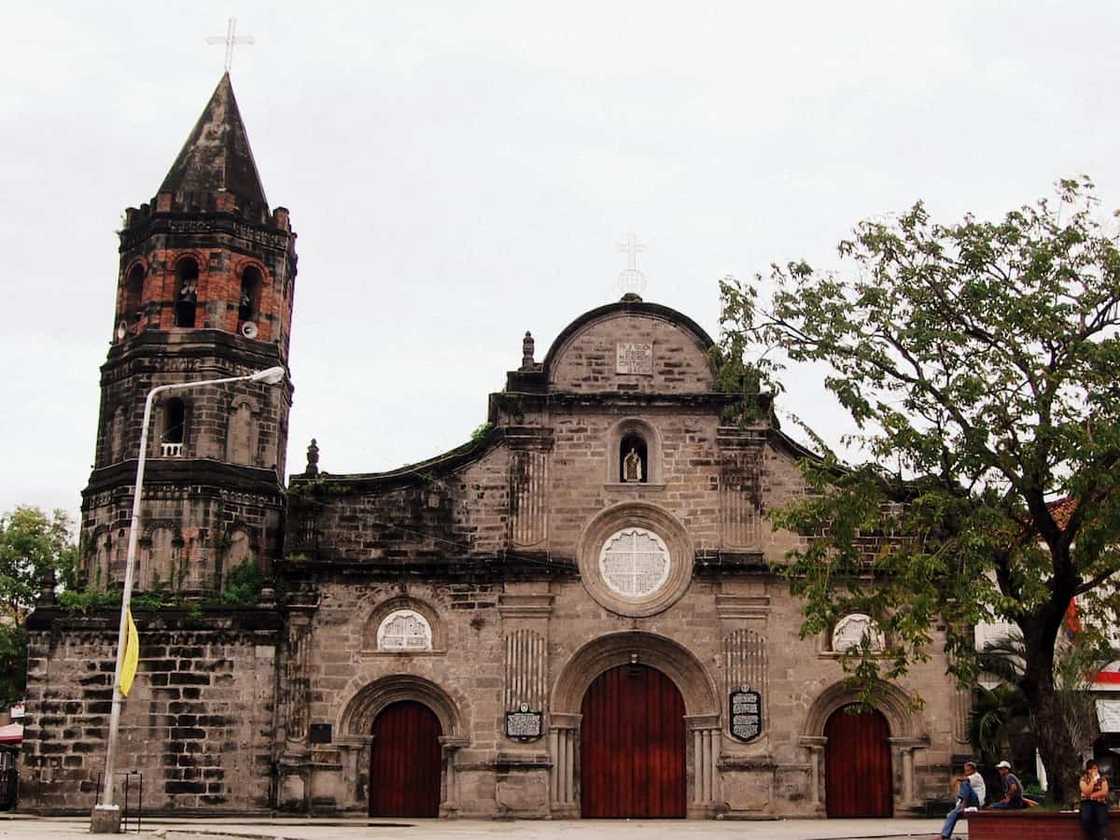 'Kalayaan Tree' sa tabi ng Barasoain chruch, naputol dahil sa Bagyong Ulysses