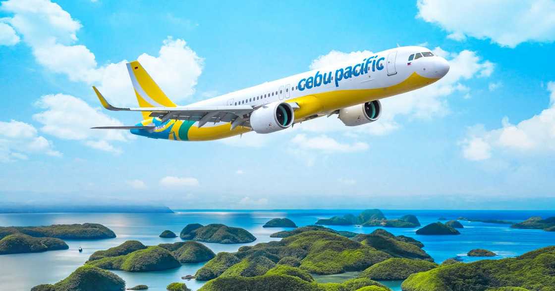 Cebu Pacific, naglabas na ng pahayag ukol sa nag-viral na eksena kung saan sangkot ang MSO Cebu Pacific, naglabas na ng pahayag ukol sa nag-viral na eksena kung saan sangkot ang MSO